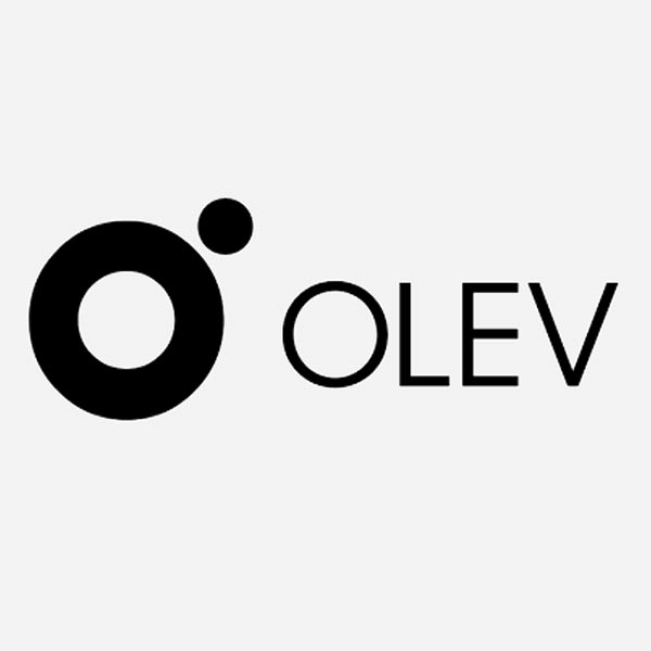 Olev Lighting Lille Nord France