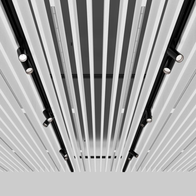 Eclairages Rails Grand Magasin France Nord Lille